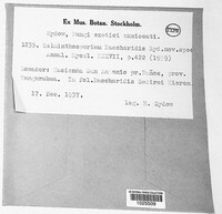 Image Associated With the Occurence
